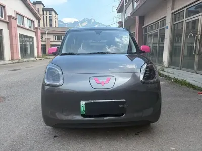 Wuling MINIEV