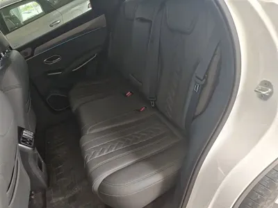 BYD L DM-i
