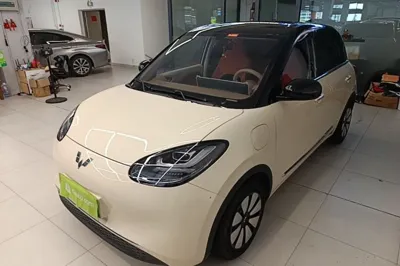 Wuling Bingo