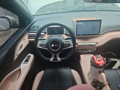 BYD Seagull