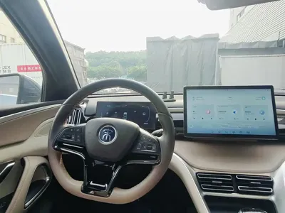 BYD Pro New Energy