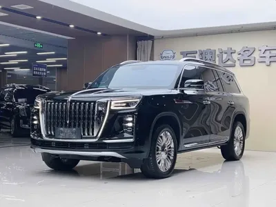 Hongqi 红旗金葵花国耀