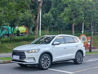 BYD Pro New Energy