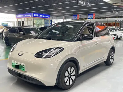 Wuling Bingo