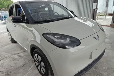 Wuling Bingo