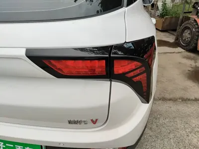 NETA Neta V