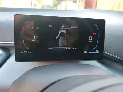 BYD Seagull