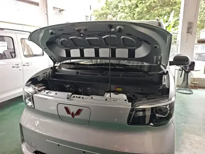 Wuling Zhiguang EV
