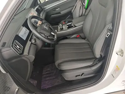 BYD Pro New Energy
