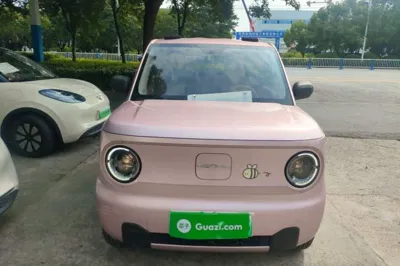 Geely Galaxy Panda