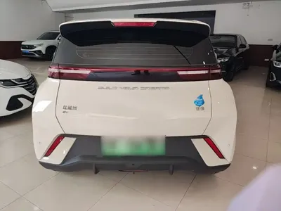BYD Seagull