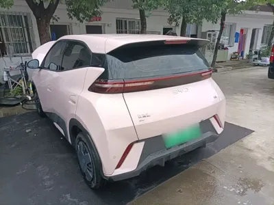 BYD Seagull