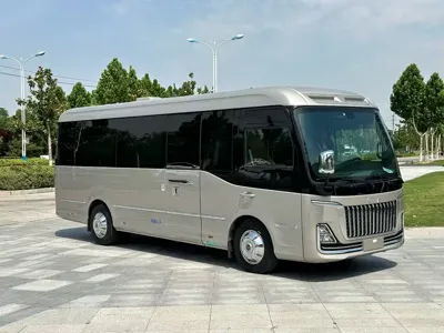 Hongqi 红旗金葵花国悦