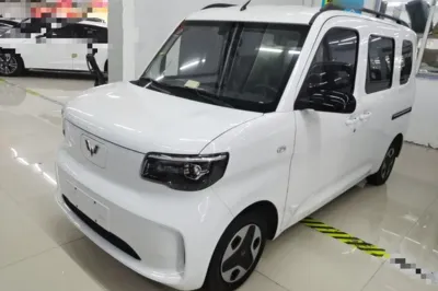 Wuling Zhiguang New Energy