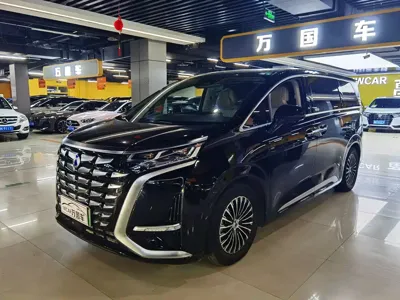 Denza Denza D9