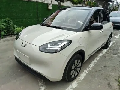 Wuling Bingo