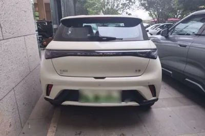 BYD Dolphin