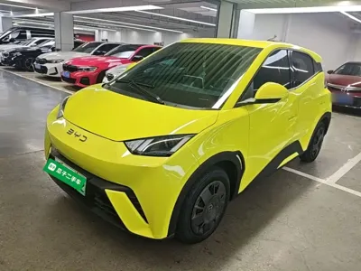 BYD Seagull