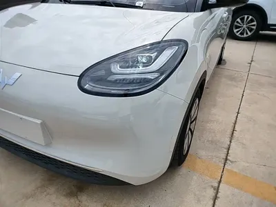 Wuling Bingo