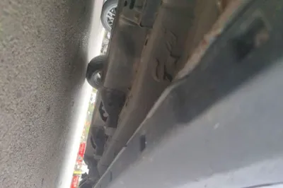 NETA V