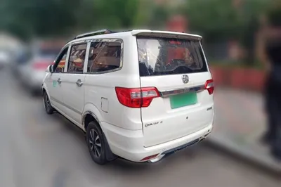 BAIC Weiwang M20