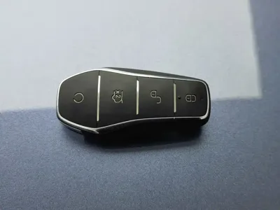 BYD Pro New Energy