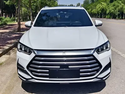 BYD Pro New Energy