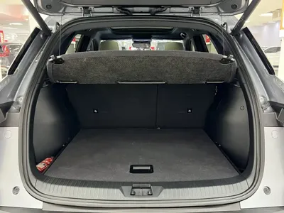 BYD Pro New Energy