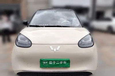 Wuling Bingo