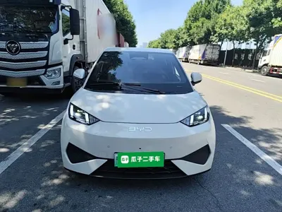 BYD Seagull