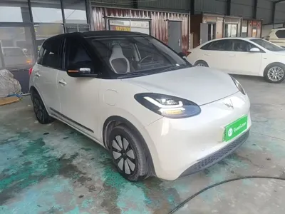 Wuling Bingo