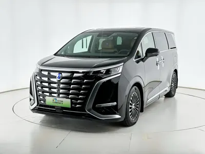 Denza Denza D9