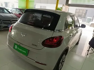 Wuling Bingo