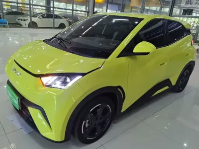 BYD Seagull