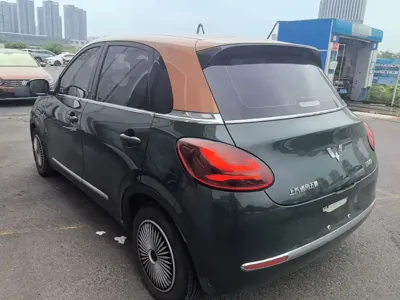 Wuling Bingo