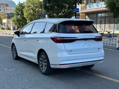 BYD MAX