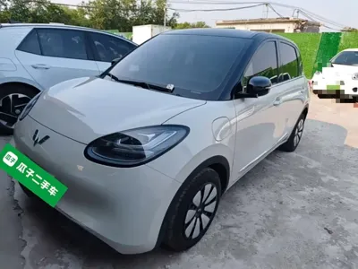 Wuling Bingo
