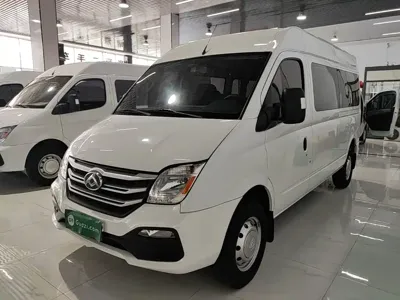 Maxus V80