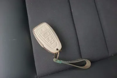 Geely Auto Binray