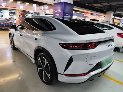 BYD L EV