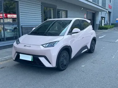 BYD Seagull