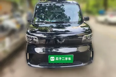 Wuling Zhiguang New Energy