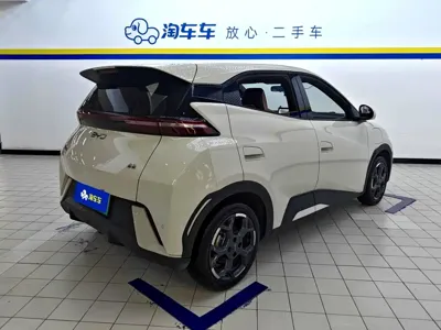 BYD Seagull