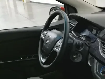 Baojun 310