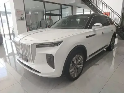 Hongqi Hongqi E-HS9