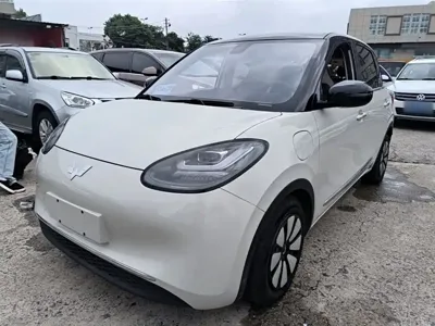 Wuling Bingo