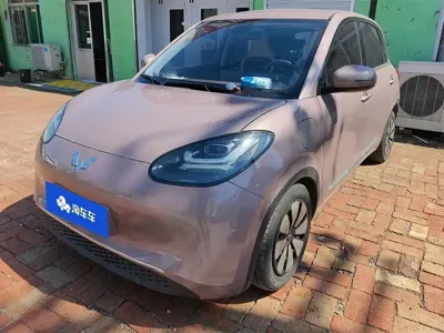 Wuling Bingo