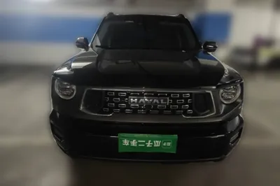 Haval H Dog