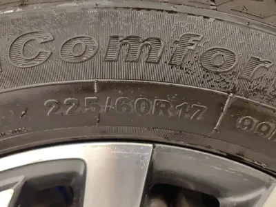 大通 G20