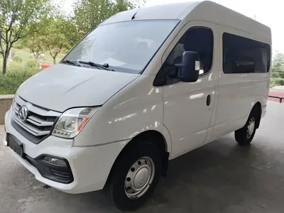 Maxus V80